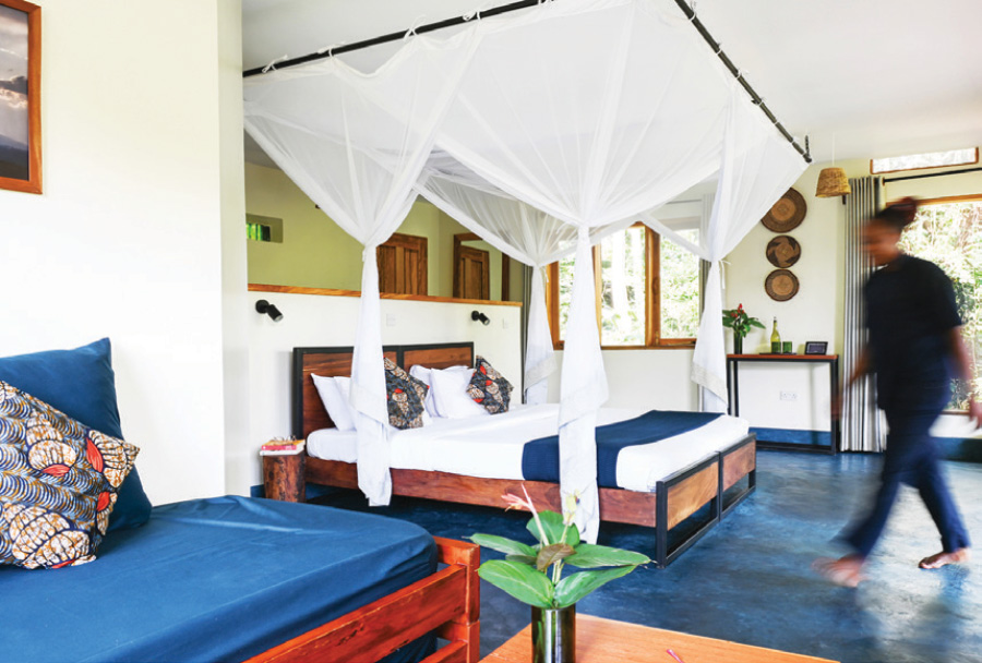Turaco-Treetops-Luxury-cottage