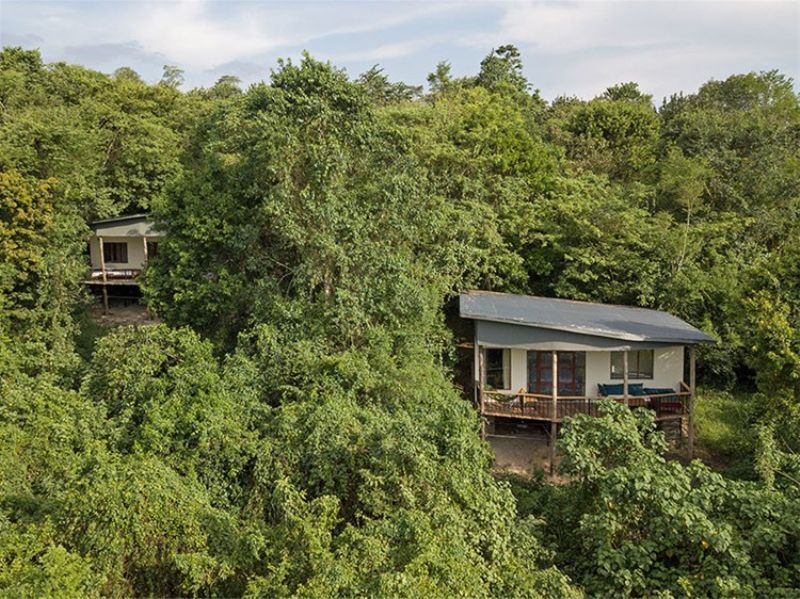 turaco-treetops-800