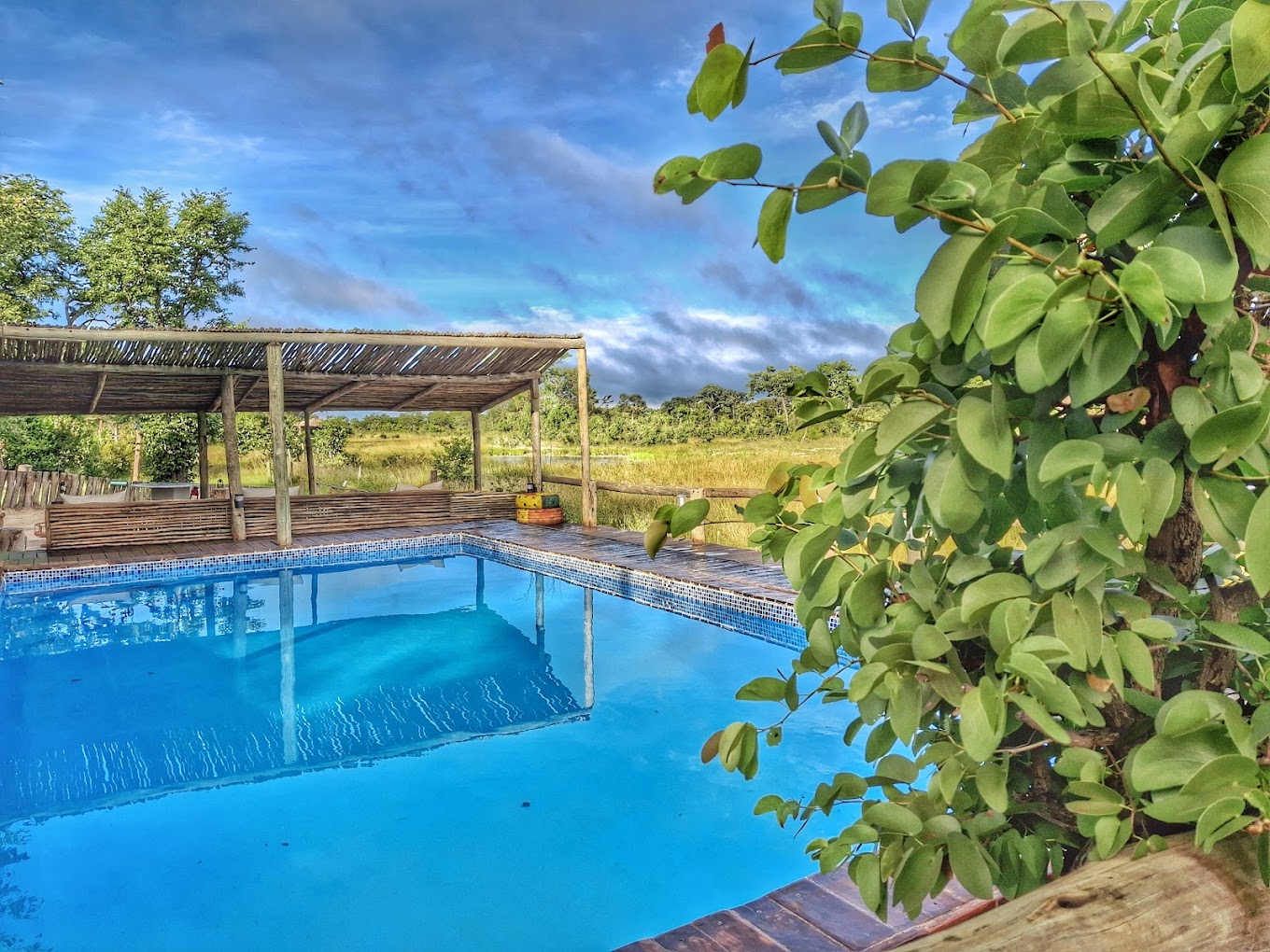 Chobe Mopani Forest Lodge-1
