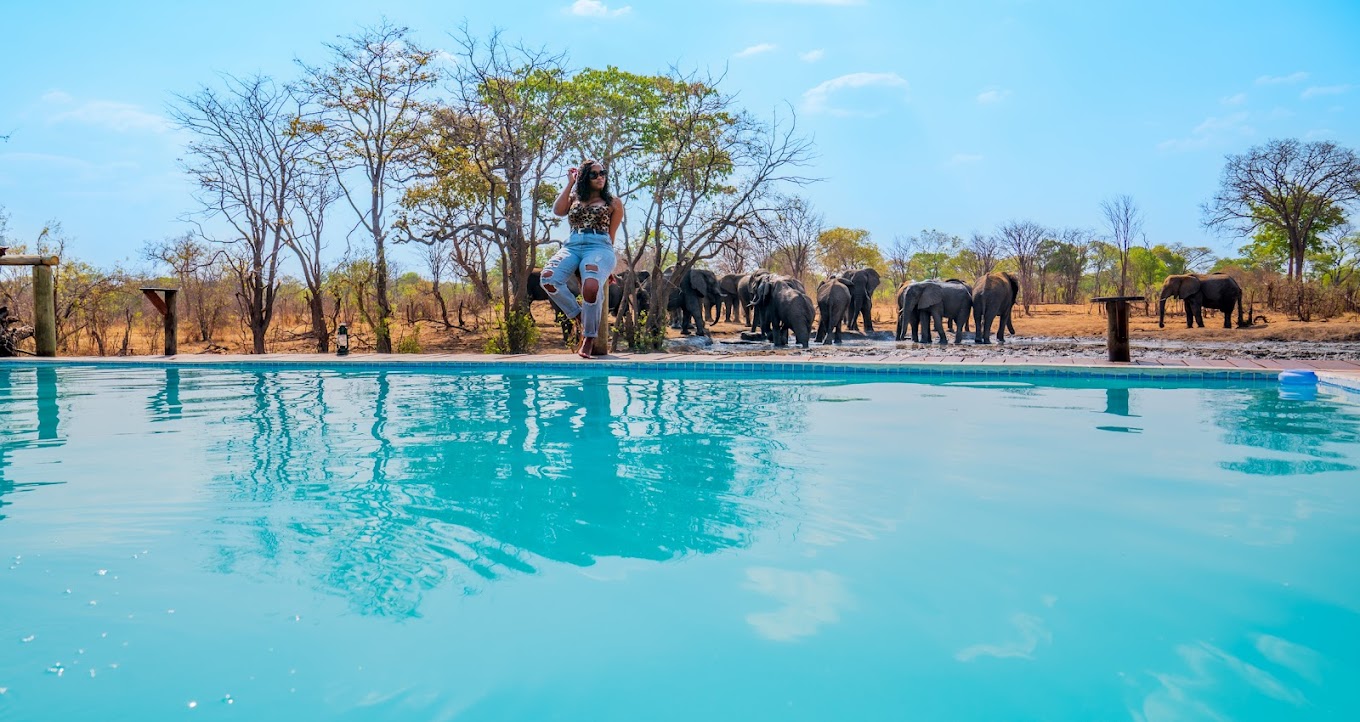 Chobe Mopani Forest Lodge-5