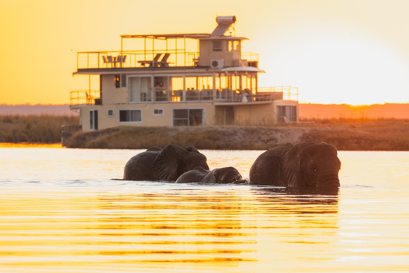 Chobe Princess-1