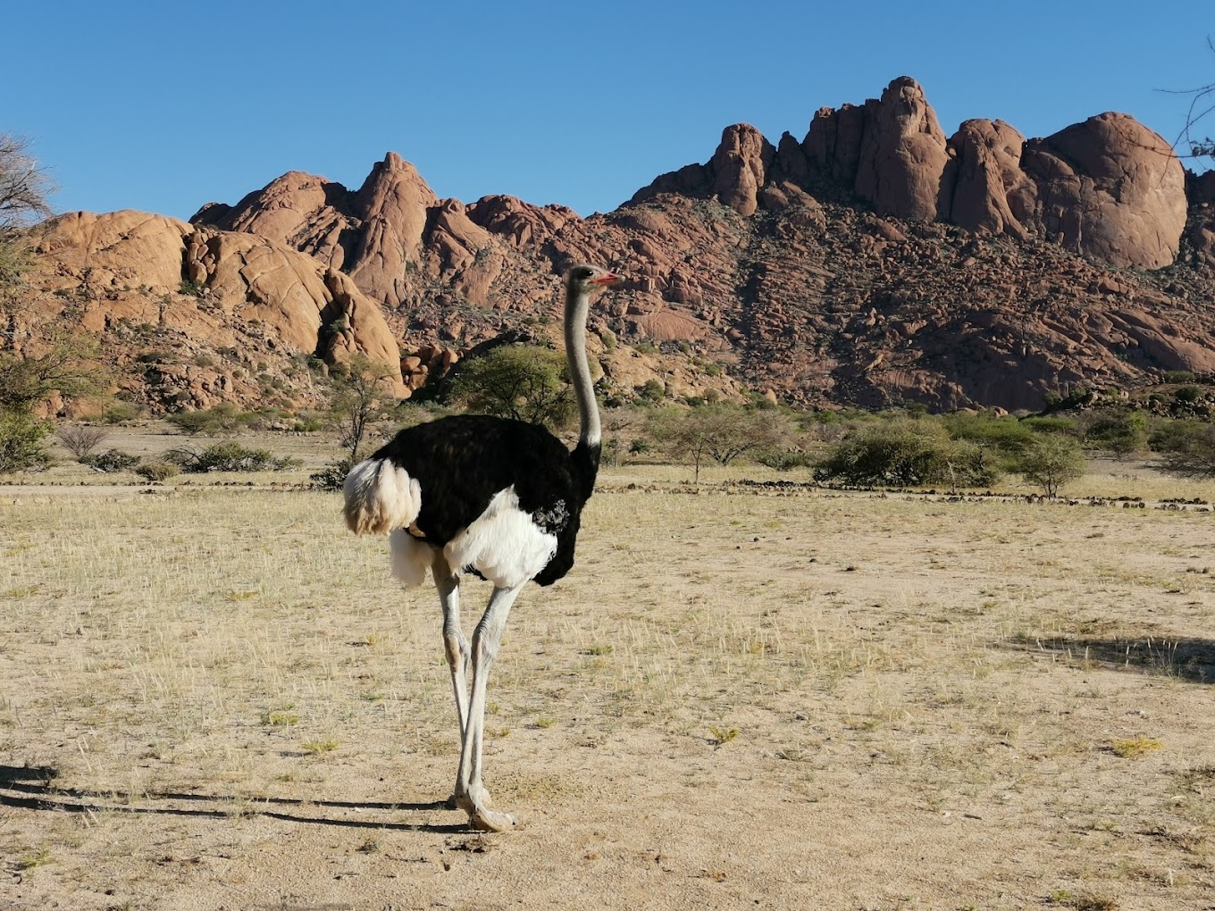 Spitzkoppe Tented Camp and Campsite-2
