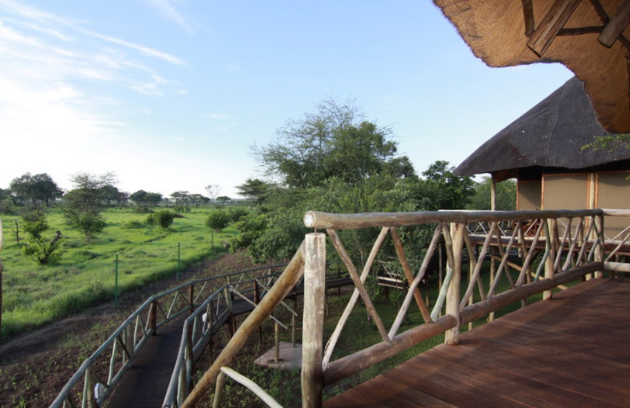 Chobe Bush Camp (2)