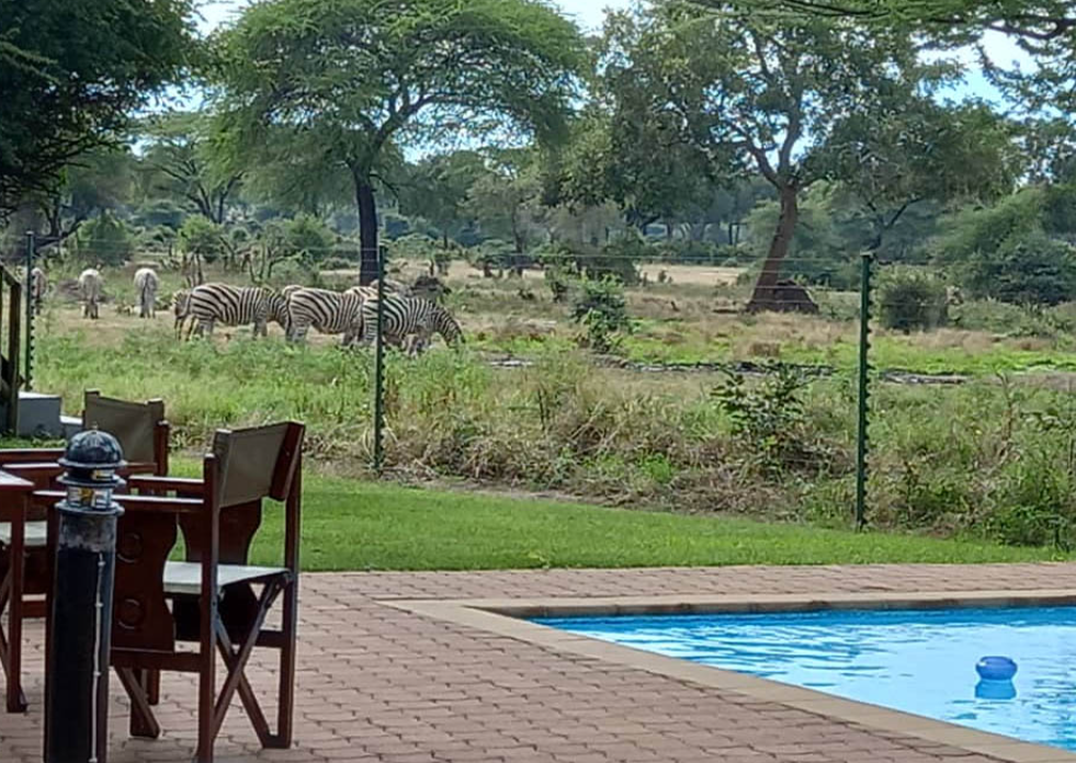 Chobe Bush Camp (9)