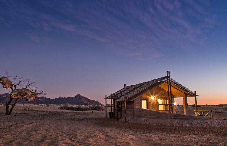 Desert Camp 4