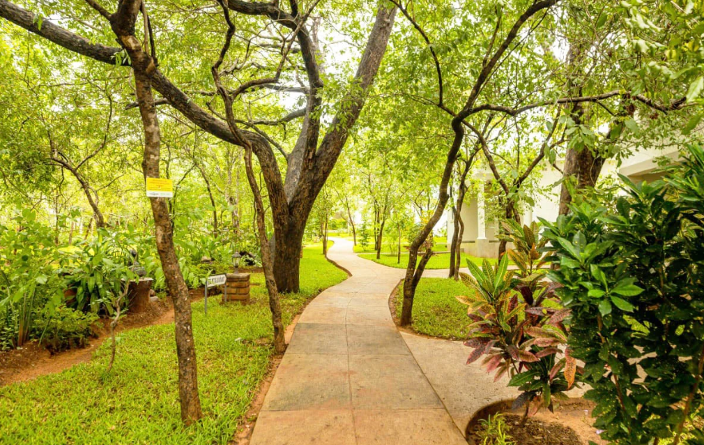 Kasambebzi Lodge (6)
