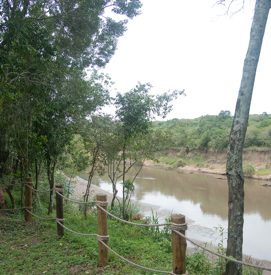 Olive Bush Camp (2)