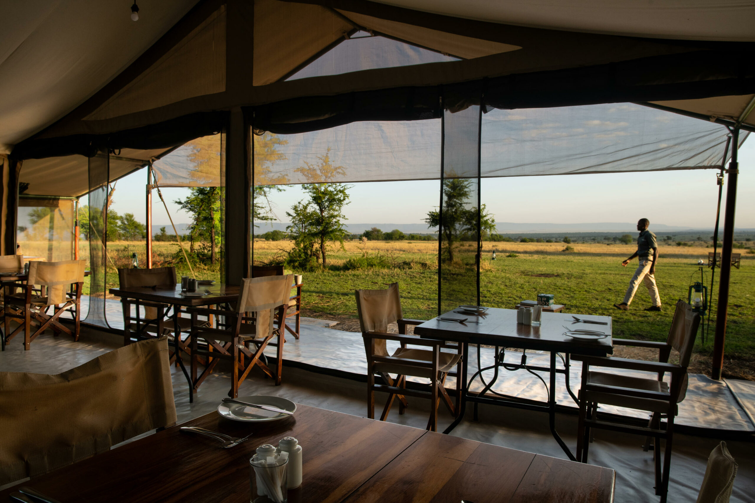Serengeti Kati Kati 1