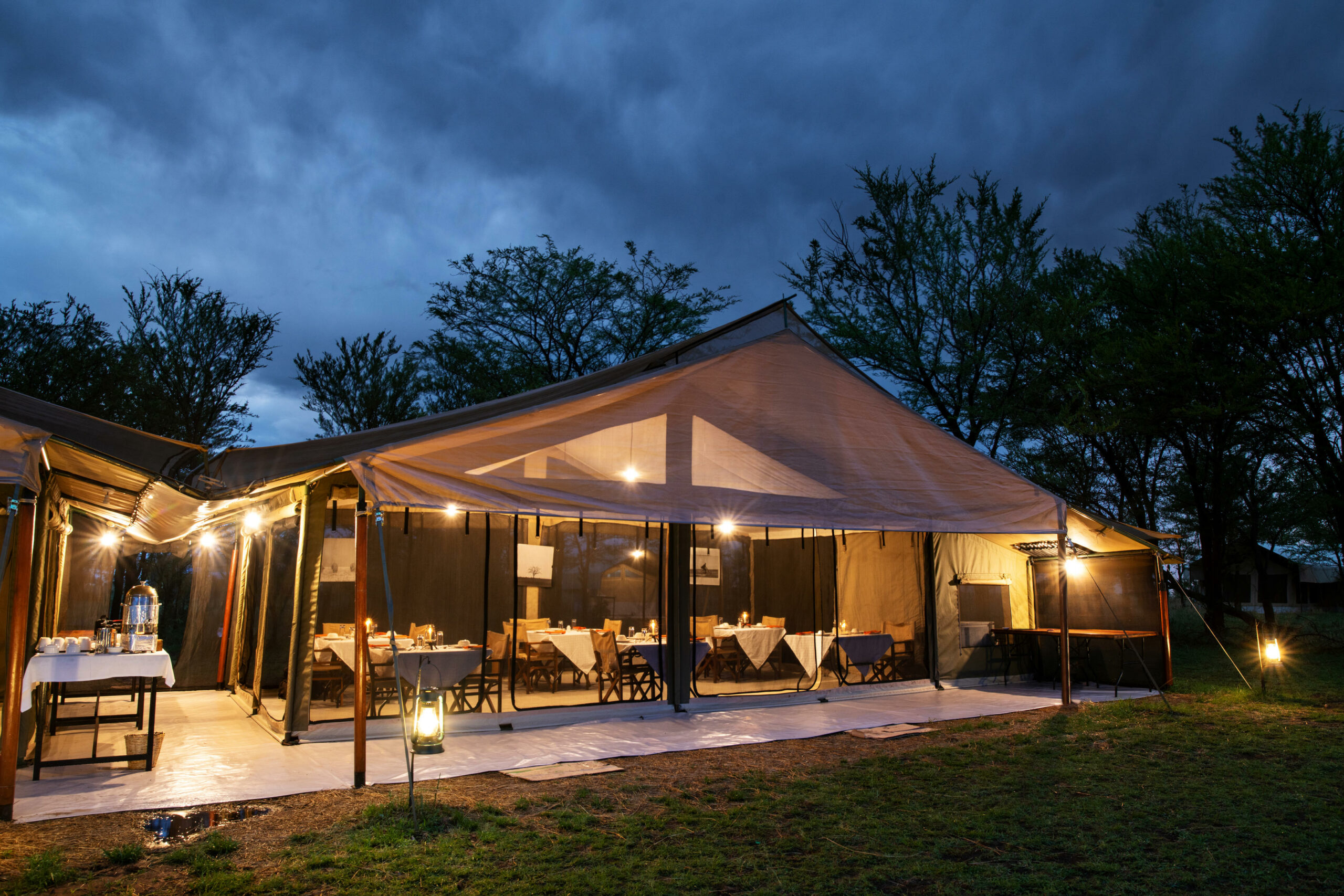 Serengeti Kati Kati 2