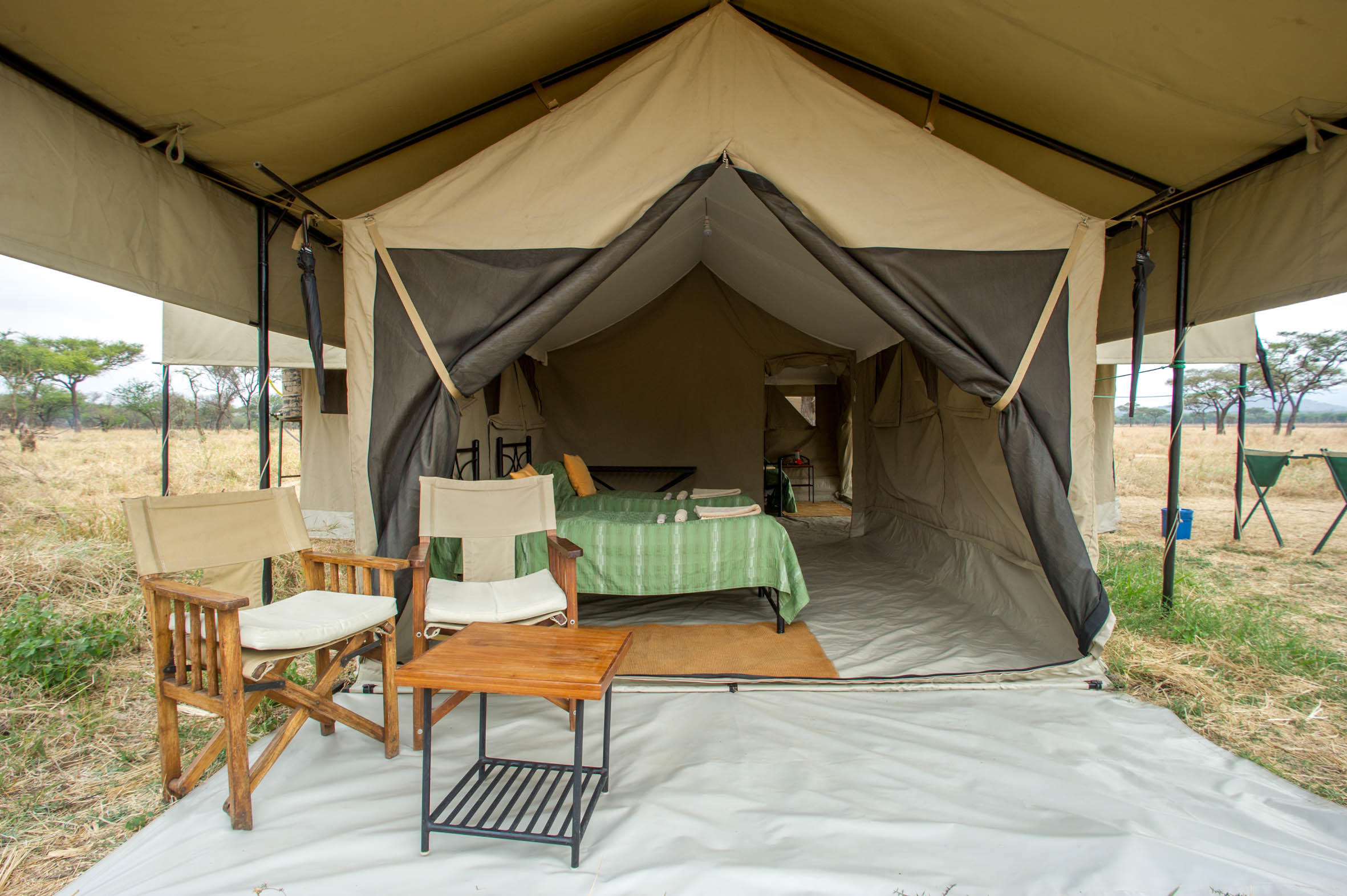 Serengeti Kati Kati 3