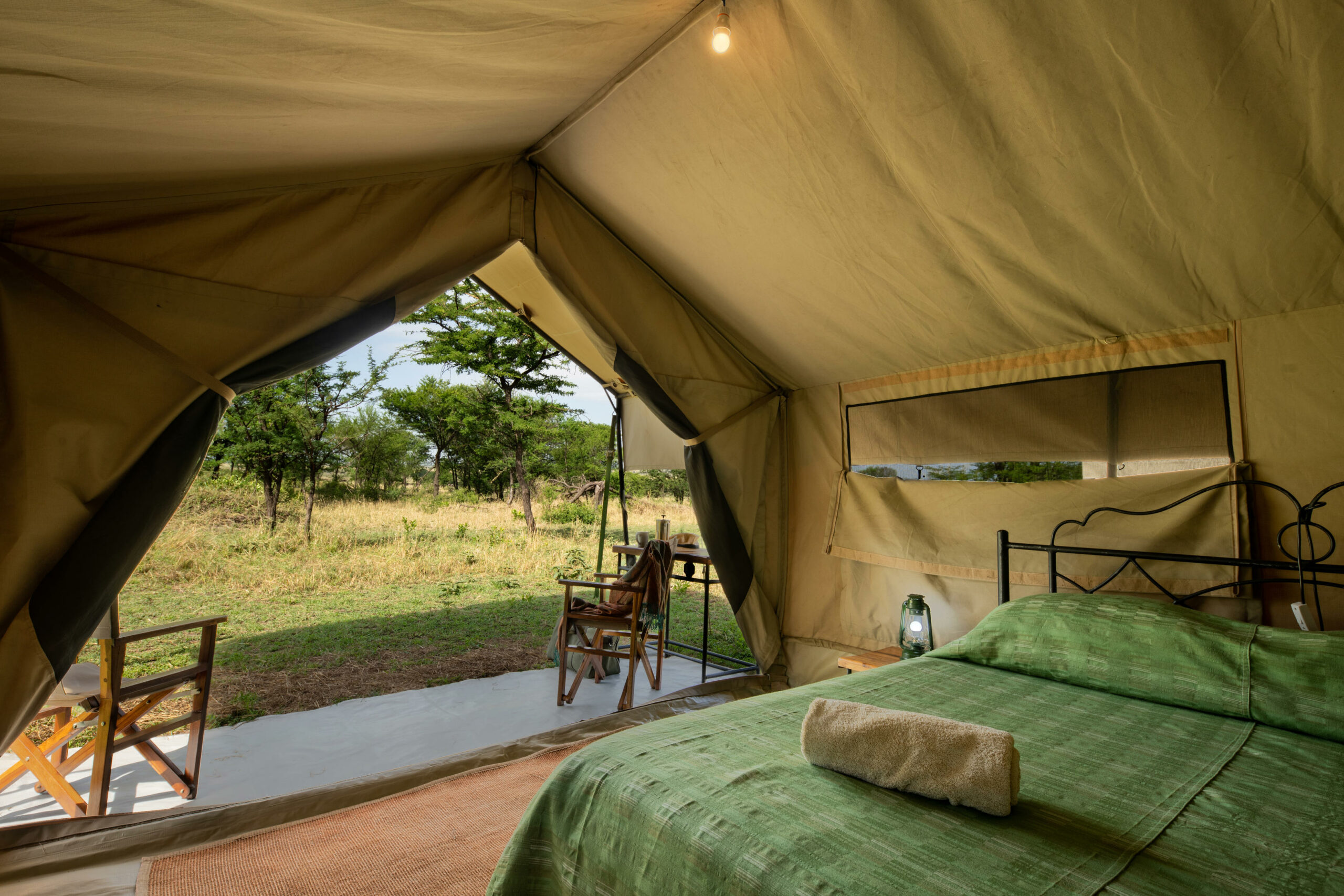 Serengeti Kati Kati 4